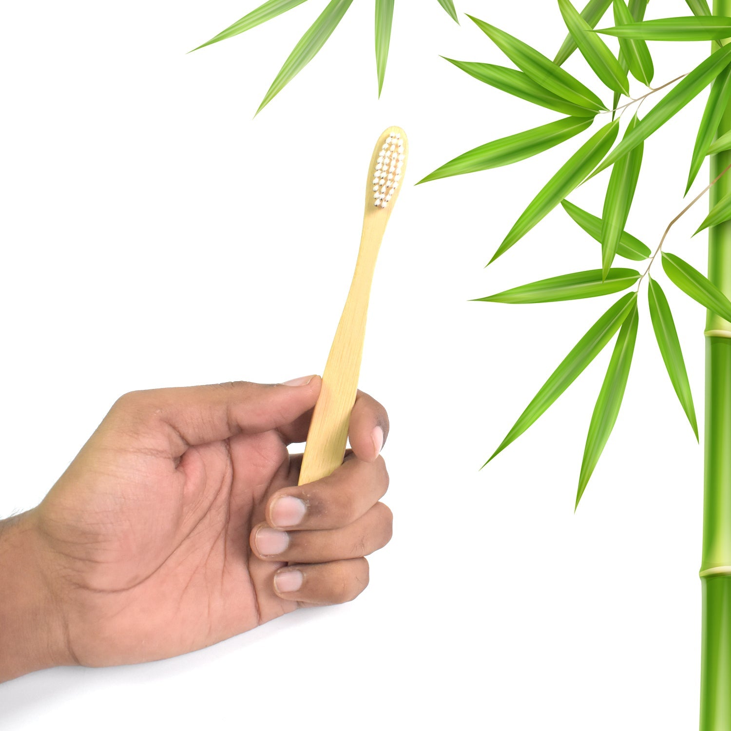 EarthSoft Toothbrush