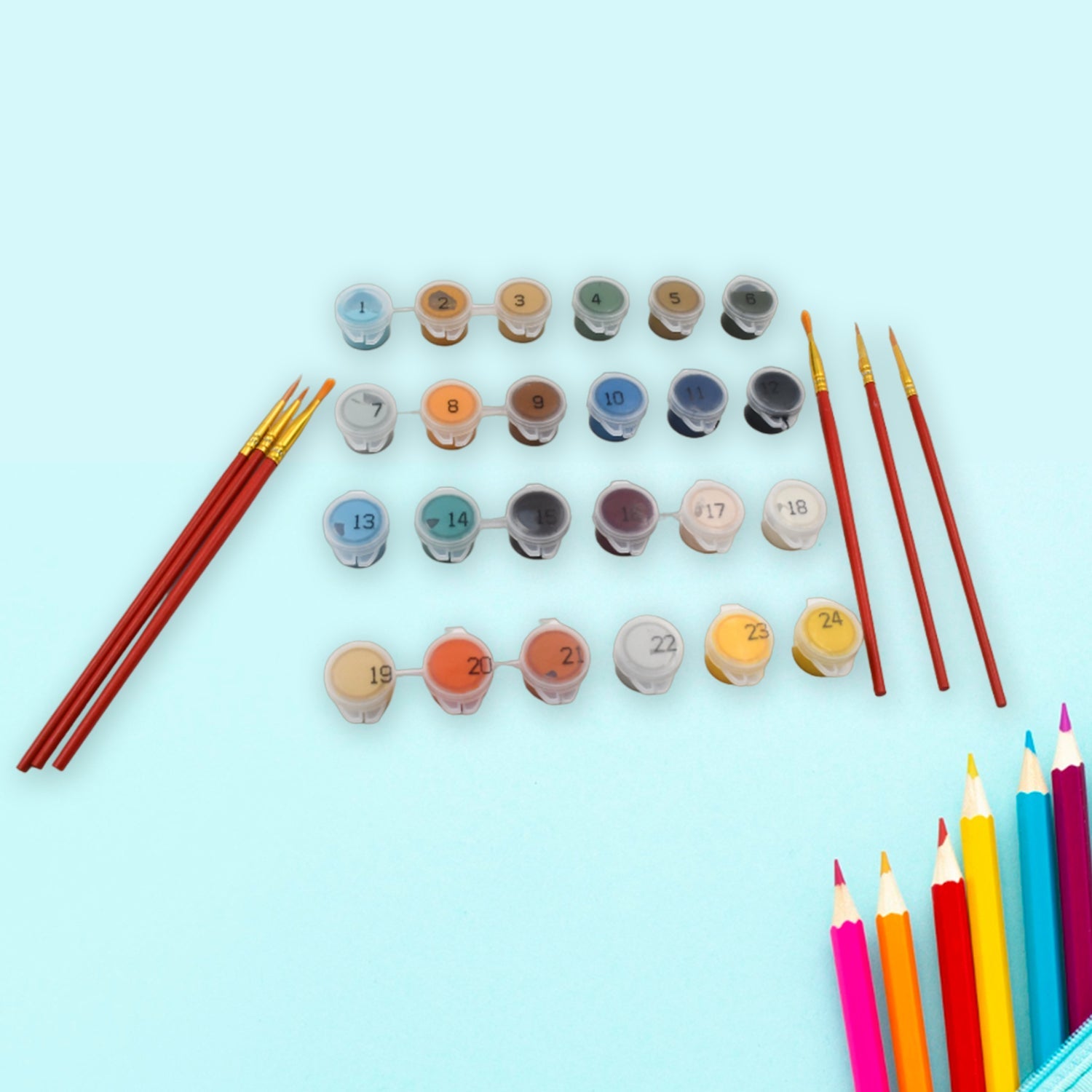 Adult painting kit, 24 colors, canvas with numbers, and paintbrushes included.