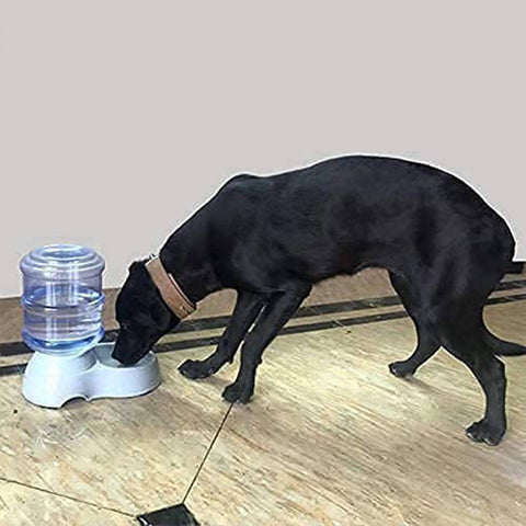 Automatic Pet Water Dispenser Self-Dispensing Gravity Pet Feeder Water Cat Dog Feeding Bowl Drinking Water & Pet Feeder Food Dispenser - Replenish Pet Food for Dog Cat Animal Automatic Gravity Dry Food Storage Bottle - jugaad.shop