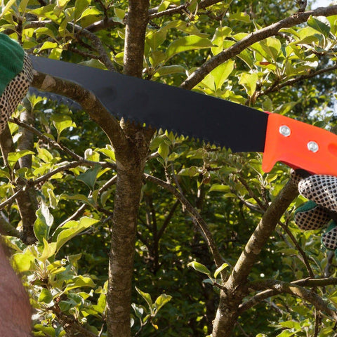 Hand Pruning Saw for Tree Branch Cutter (1 Pc) - jugaad.shop