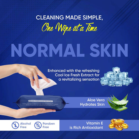 Refreshing Wet Wipes for Face | Facial Cleansing | Refreshing & Skin Hydration| Soothing for skin | pH Balance & Alcohol Free | Nourishing with Fruit extract | 25 Wipes - jugaad.shop