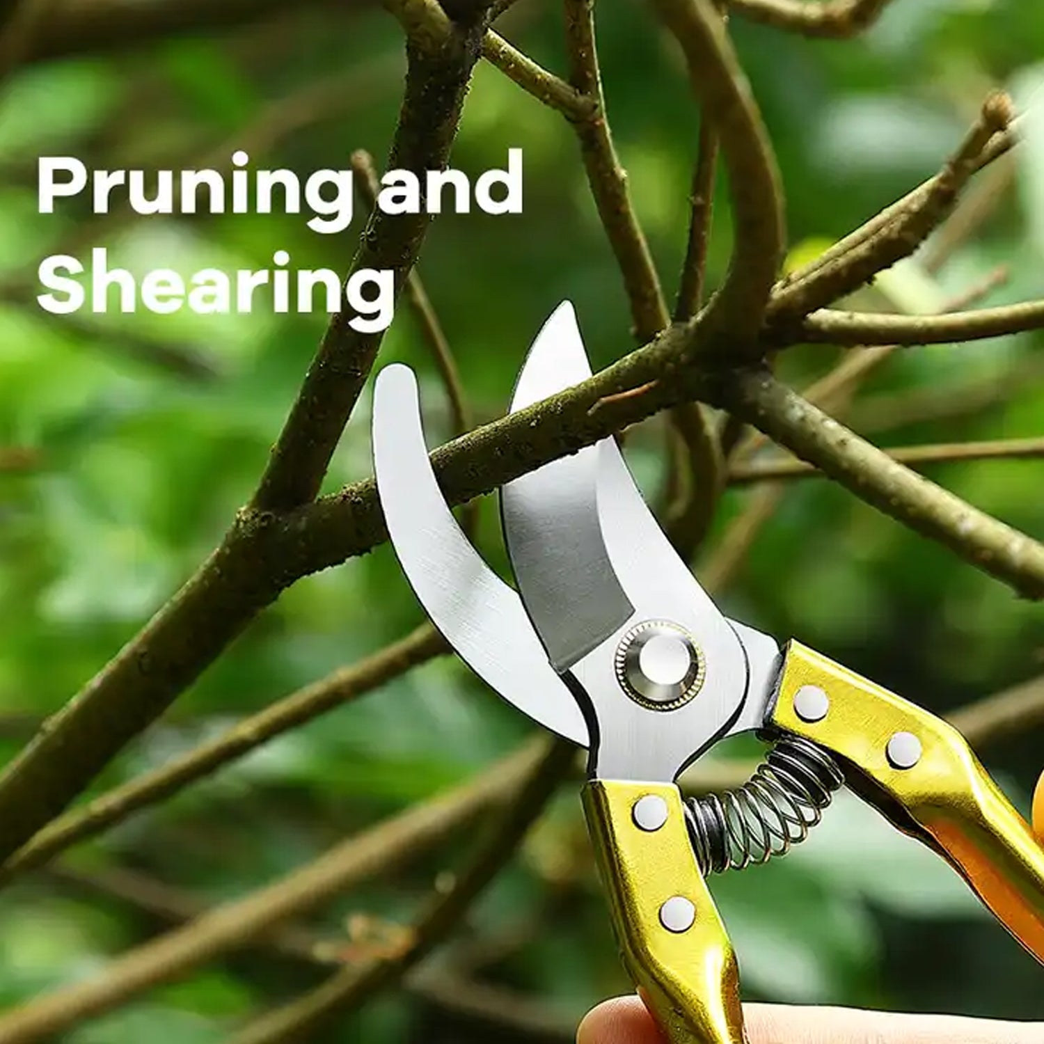 Gardening Tools - Garden Shears Pruners Scissor (1 Pc) - jugaad.shop