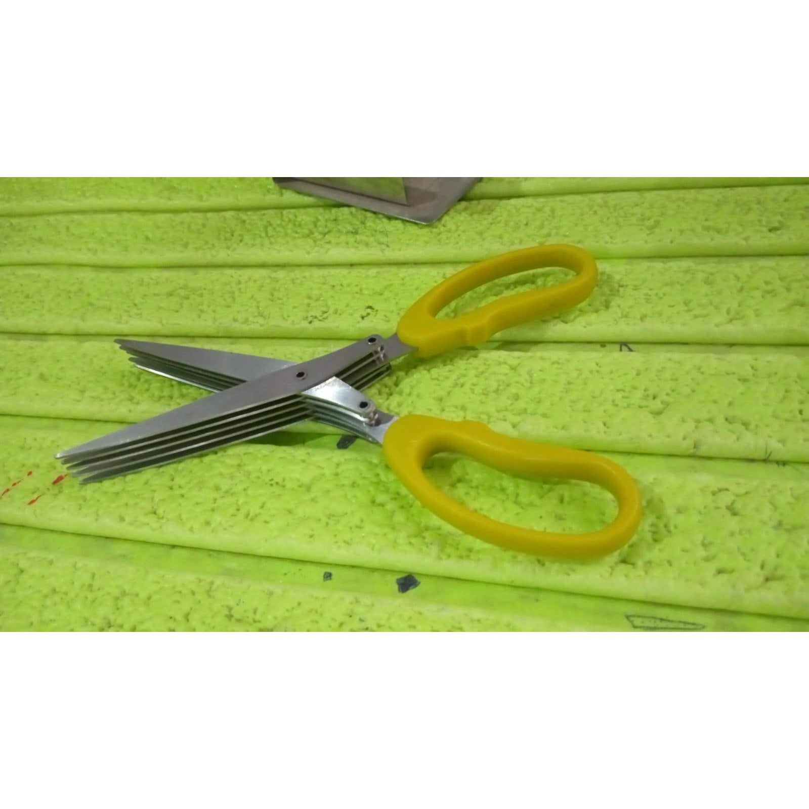 Multifunction Vegetable Stainless Steel Herbs Scissor with 5 Blades (1 Pc)