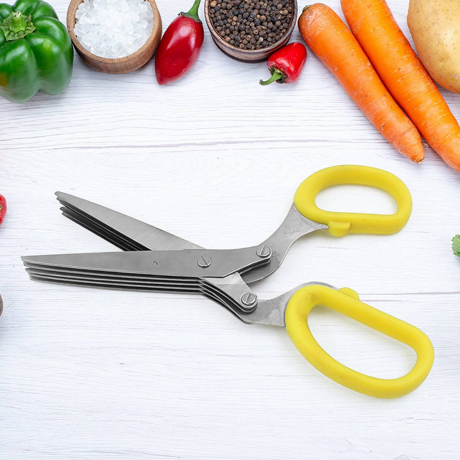 Multifunction Vegetable Stainless Steel Herbs Scissor with 5 Blades (1 Pc)