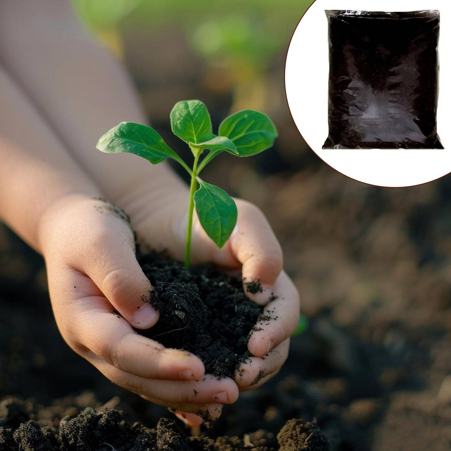 Organic Vermicompost Black Soil for Plants Health Manure (1 KG Approx) - jugaad.shop